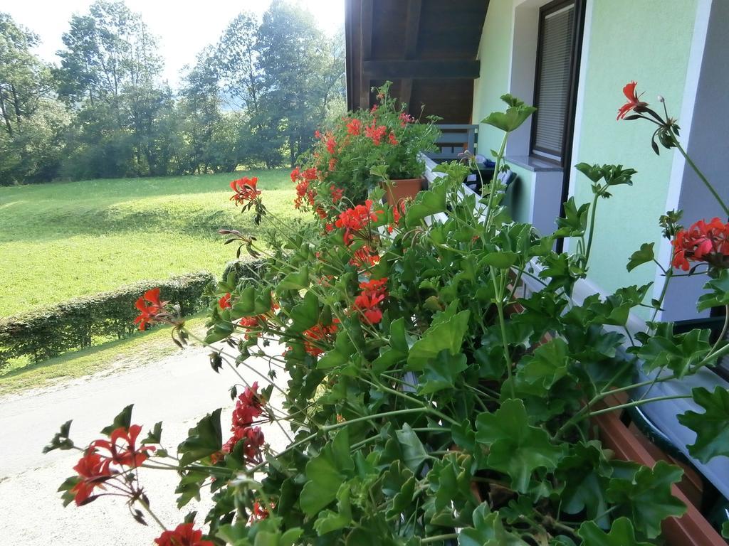 Apartment Žvan Bohinj Kamer foto
