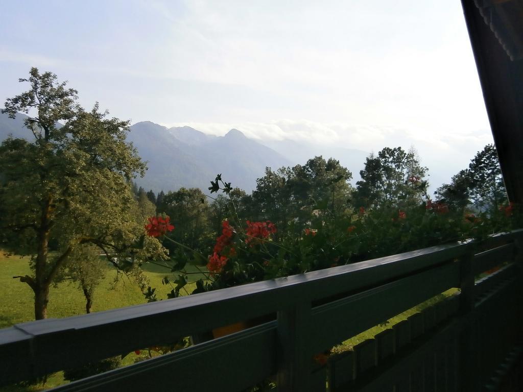 Apartment Žvan Bohinj Kamer foto